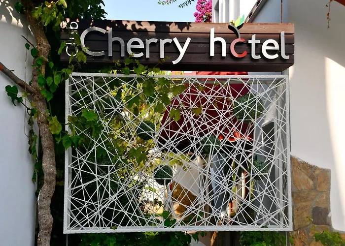 Club Cherry & Family Hotell 2*