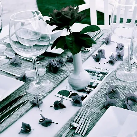 Club Cherry & Family 2* 图尔古特雷斯